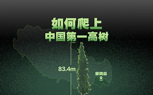 如何为“中国第一高树”量身高？3D详解爬树测量法