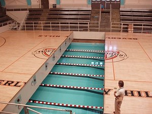 It’s A Wonderful ‘SWIM-GYM’