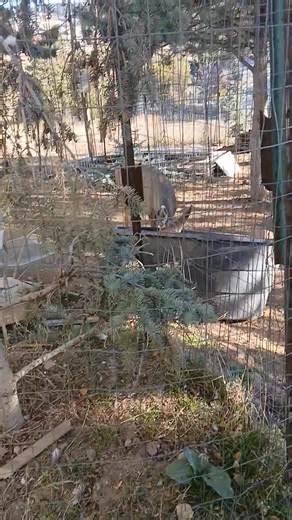 Im a Disney princess lol | Michael McCallum | Facebook