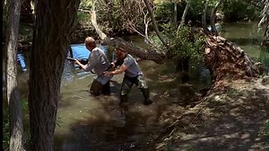 [WwW.FilmsVostfr.NeT]-Mega Python vs. Gatoroid.BDRIP