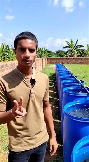 plastic Drum catfish fish farming business model #aquacultureindia #fishing #fishfarmingbusiness