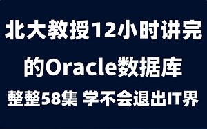 北大教授12小时讲完的【Oracle数据库】整整58集，学完可就业！拿走不谢，学不会退出编程界