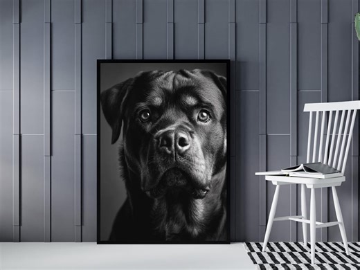 Black Dog Wall Art, Labrador Portrait Print, Animal Photography, Black and White Dog Decor, Pet Lover Gift, Minimalist Wall Art - Etsy