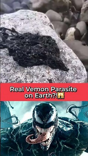 Venom Symbiote in Real Life #Venom #childhoodruined #unexplained #scary