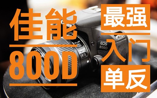 最强入门单反 佳能800d测评