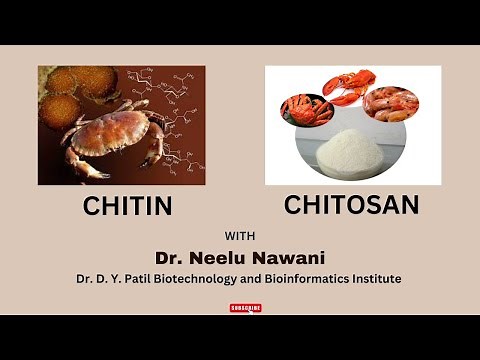 The Chitin & Chitosan || From the Sea to the Lab