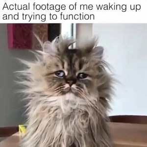 😞 | Obvious Magazine