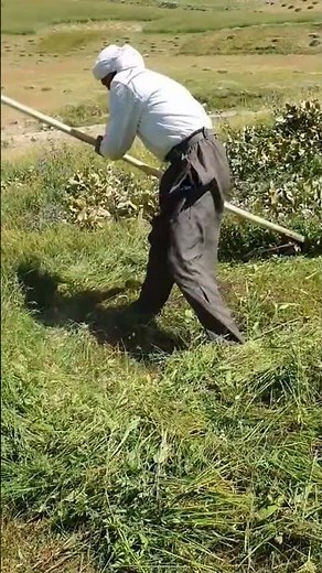 watra de atlas tamazight ino 🇲🇦❤️‍🔥