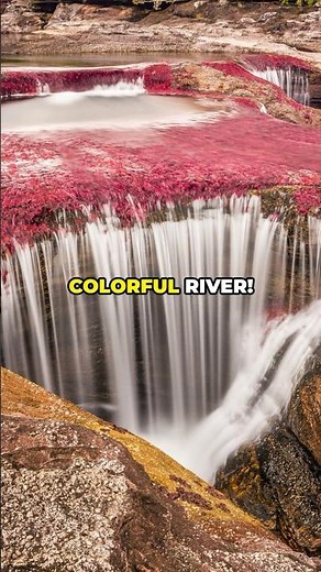 Caño Cristales: Exploring Colombia's Rainbow River!