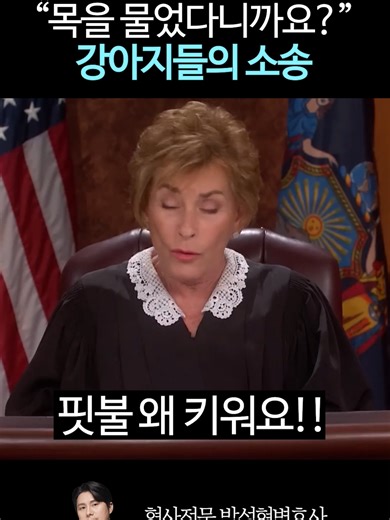 Dogs on Trial: A Courtroom Battle Unleashed