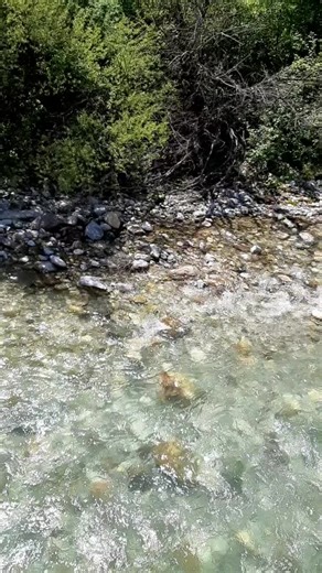 sim0907000 (@sim0907000)’s videos with Bistra Voda - Leb I Sol