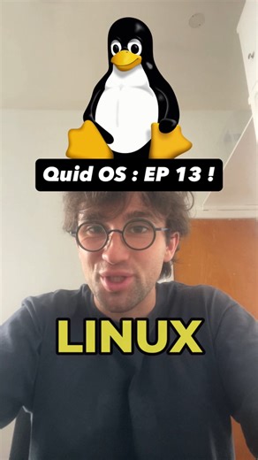 Les distributions Linux les plus improbables ! 🐧 Du sérieux AlmaLinux au délirant Hannah Montana Linux , entre serveurs, rétro et parodie. #linux #informatique #os #tech #techatace | Tech at ACE