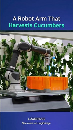 Robot Arm Harvests Cucumbers | The Future of Automated Farming
