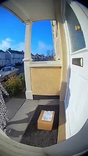 CHAOS CROWNED! 👑 Bathrobe Bandit BLASTED by Neon Dust Bomb! 🧡💚 Instant Wake-Up Call! | Narratives shorts