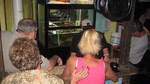 Watch the Lobster Vending Machine in Action