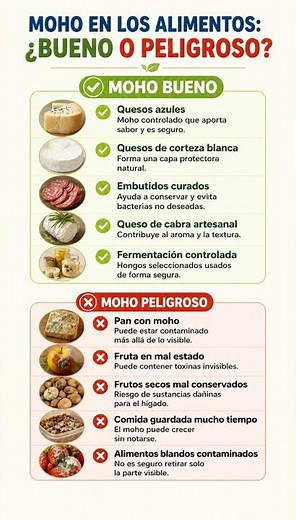 ¿MOHO BUENO O PELIGROSO EN ALIMENTOS?