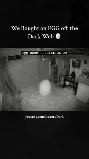 We bought an egg off the Dark Web… It hatched 😬 #scary #horror #luxurydark