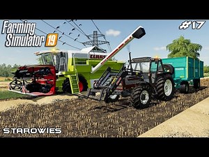 Harvesting oats with Claas harvester | Starowies | Farming Simulator 2019 | Episode 17