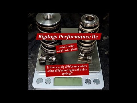 Beehive style Springs vs Dual Springs with Titanium retainers weight comparison 🤔