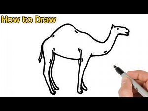 How to Draw a Camel | Easy animals drawings for beginners