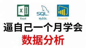 【全79集】2025年最细自学数据分析全套教程，逼自己一个月学会数据分析（Excel SQL PowerBI Python），从0基础到精通看这一套就够了！