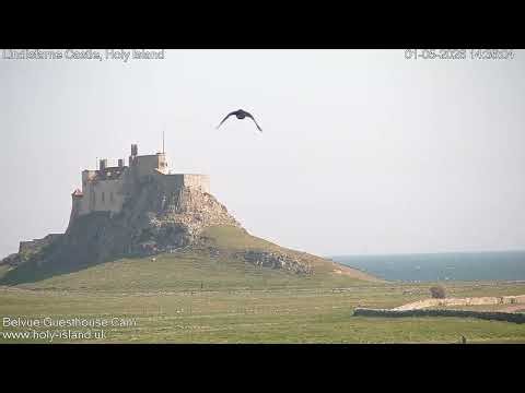 Views From The UK - Holy Island - Friday 01 May