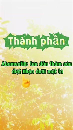 🕷️️ NHỆN CHÚA 200SC 🕷️ NHỆN KHÁNG T.HU.ỐC UNG TRỨNG- Nhện đỏ, nhện vàng...✈️ Ship hàng toàn quốc!
