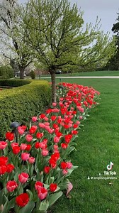 13 reactions | Fall is the only time to plant bulbs for Spring blooms. Flowers like tulips, hyacinths, allium, and croucus need a cooling period before they will bloom. Planting them now, will allow them to spend the winter in the cold ground before they bloom in early Spring. Bulbs are 50% OFF right now. Selection does vary by location. | English Gardens | Facebook