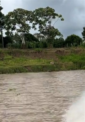 Os vídeos de Rafaell Nogueira  (@rafaelnogueira300) com Take Over Control (feat. Eva Simons) [Radio Edit] - Afrojack