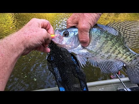 Fall Crappie Fishing in October, Trolling jigs and Minnows with Slip Bobbers with tips!