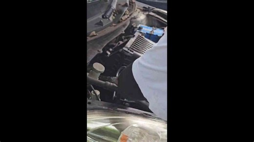 Snake handler removes angry monocled cobra from car engine
