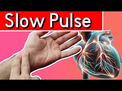 Why is My Pulse So Slow? Top Causes of a Slow Pulse and When to Worry