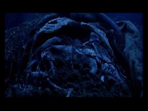 jason voorhees its time to wake up