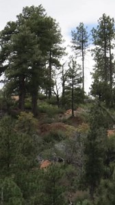 13K views · 324 reactions | Mogollon Monster Screams near Tonto Forest #bigfoot #mogollonmonster | Rocky Mountain Sasquatch Organization | Facebook