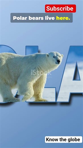 North pole vs South Pole #geography#facts#gkearth #travel#naturegeography#worldexplorer#heyexplorer