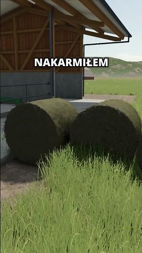 How much wool does a sheep produce in Farming Simulator 25?! Experiment #96 in FS25