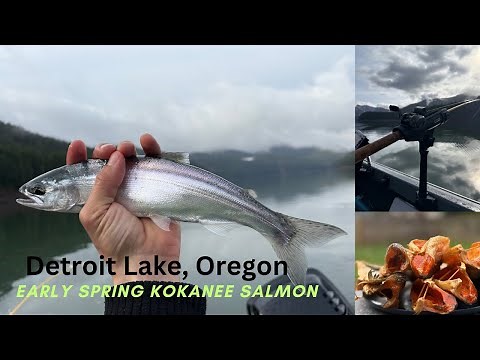 Early Spring Kokanee Salmon Fishing at Detroit Lake OR