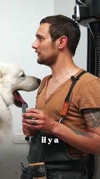 Après la reprise de son salon de toilettage Dog Vador à Venelles, notre ancien élève a réussi à doub