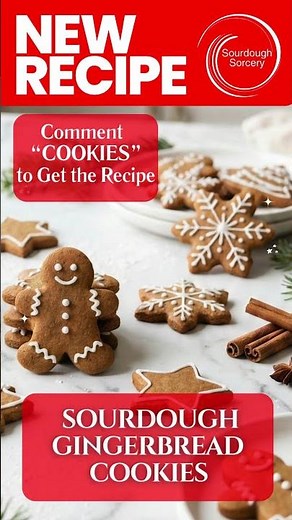 Sourdough Gingerbread Cookies | Sourdough Sorcery