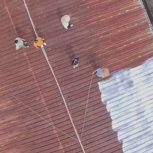 [Hot Item] Nbs Car Chassis Rust Converter Anti-Rust Primer for Quick Derusting