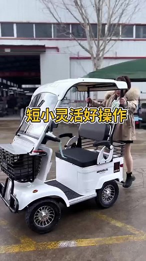 mini bus_ev on TikTok