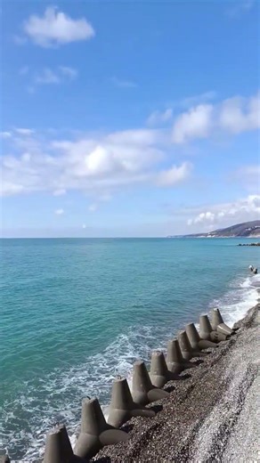 ✨🕊️✨Светлого дня #сочи #море #sea #spring #sky