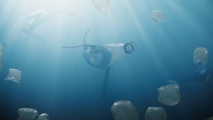 Short Film Transforms Plastic Waste into Sea Life