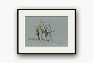 Aquarelle d'éléphant d'Afrique, Loxodonta africana, illustration d'éléphant sauvage, Elephantidae, originaux en vente par Juan Bosco. - Etsy France