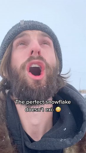 Pubity on Instagram: "This is man found the perfect snowflake 😍 (Via @theshilohfarm)"