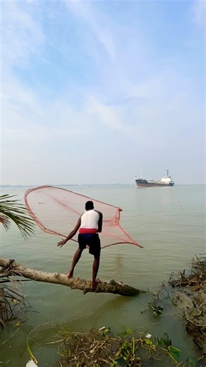 River Net Attack#fishing #riverfishing #netfishing #bigcatch #reallife