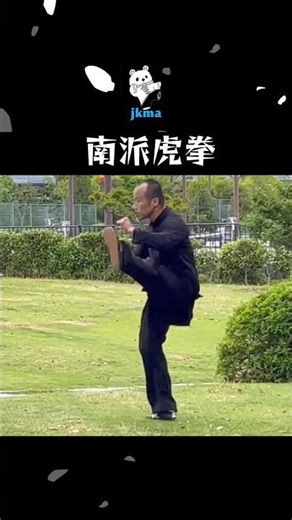 【緻密でいて豪快】南派武術の技法