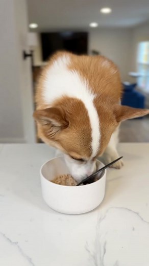 Tineco Floor One S5 Extreme: Evolution of Clean with iLoop Smart Sensor Technology