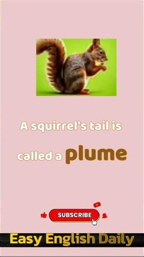 Stop Saying "Tail" for Every Animal! 🐘🦊 Learn the Correct Animal Vocabulary in English#learnenglish
