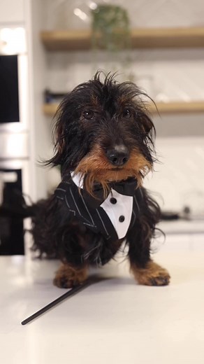 Leo Vessicchio at Sanremo 2022